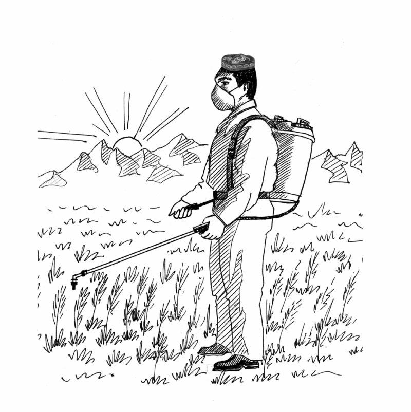 Заҳрдорупошӣ